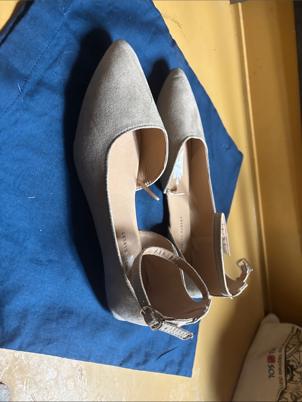Charles Albert Taupe Pointed-Toe Ankle-Strap Heels